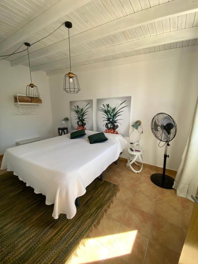 Casa Kiko Fuerteventura Daire Cotillo Dış mekan fotoğraf